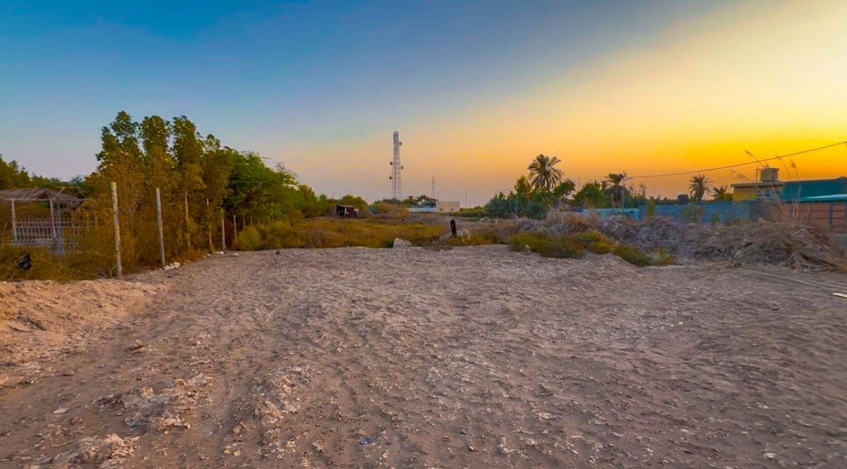 دونم نص على شط العرب في ناحية السيبة